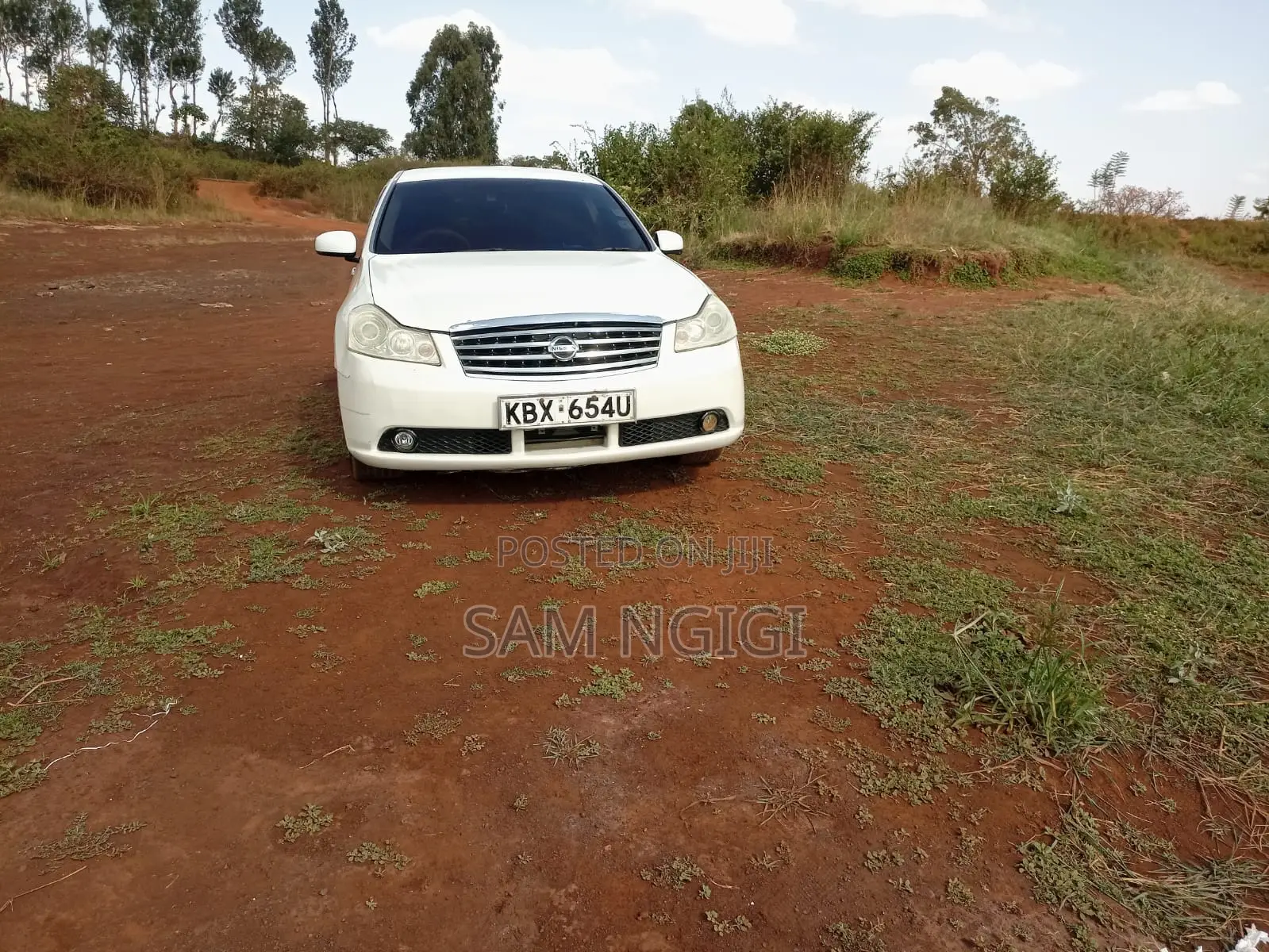 Nissan Fuga 2006 White