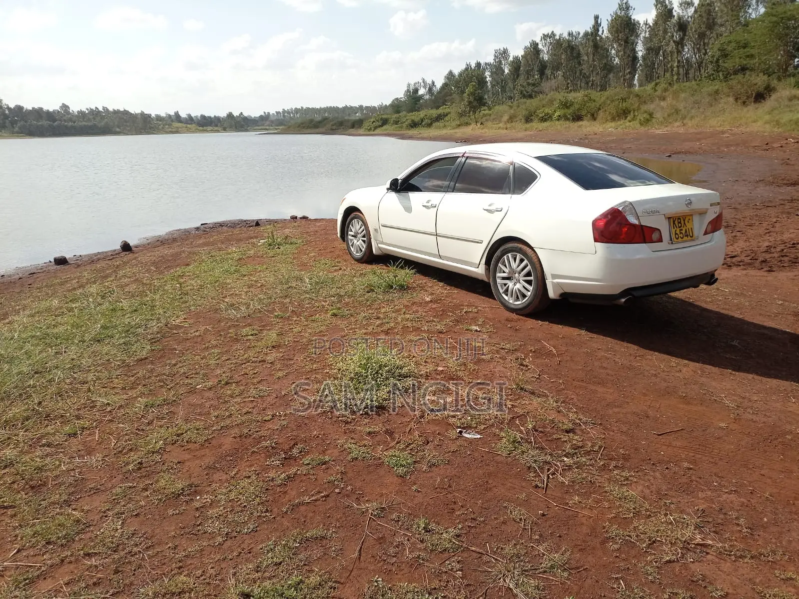 Nissan Fuga 2006 White