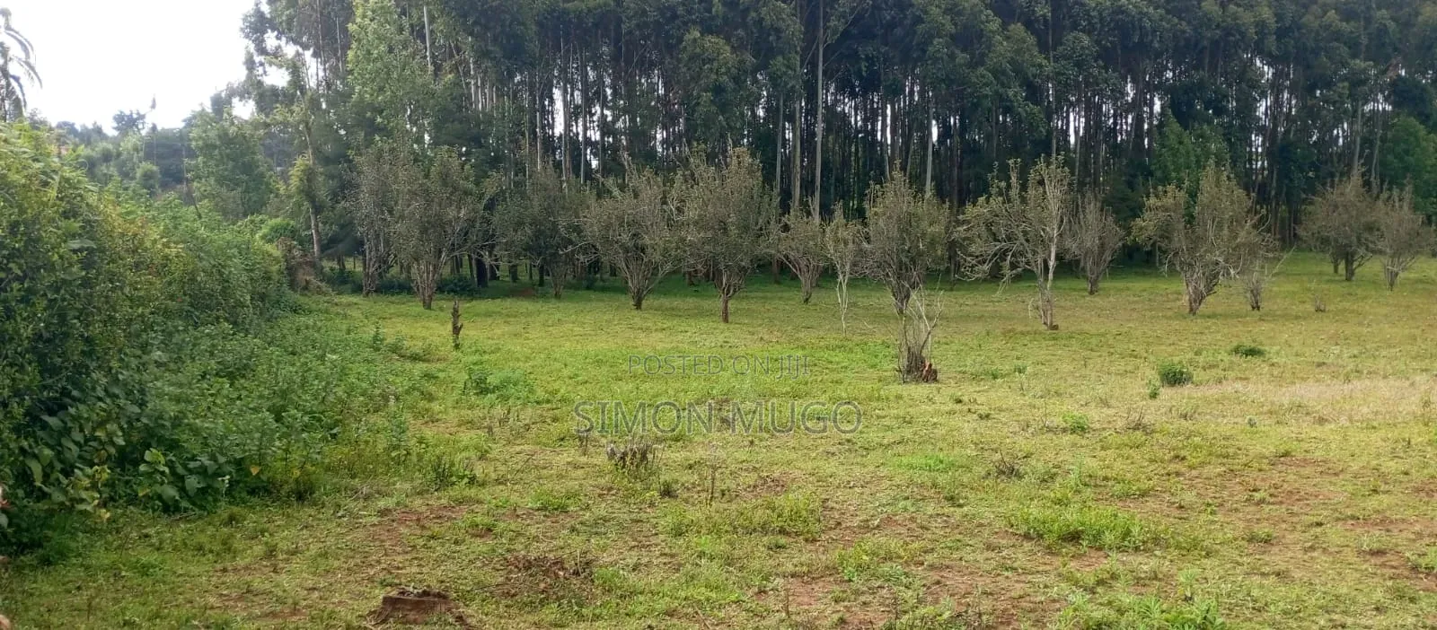 PRIME 3.8 Acres With Old Hotel Fronting Thika Supper High Way