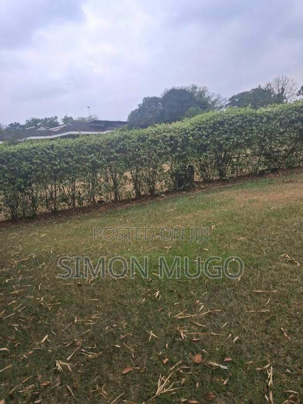 PRIME 3.8 Acres With Old Hotel Fronting Thika Supper High Way - thumbnail 9