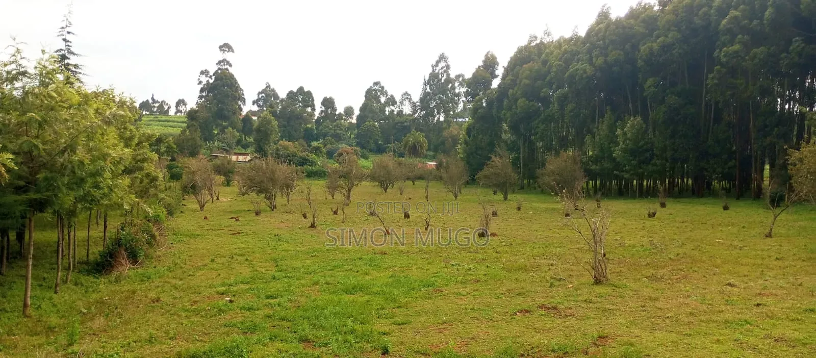 PRIME 3.8 Acres With Old Hotel Fronting Thika Supper High Way
