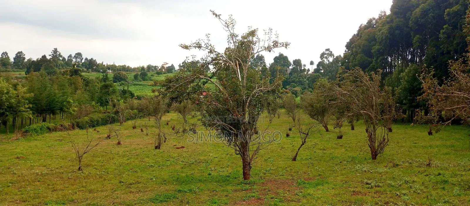 PRIME 3.8 Acres With Old Hotel Fronting Thika Supper High Way
