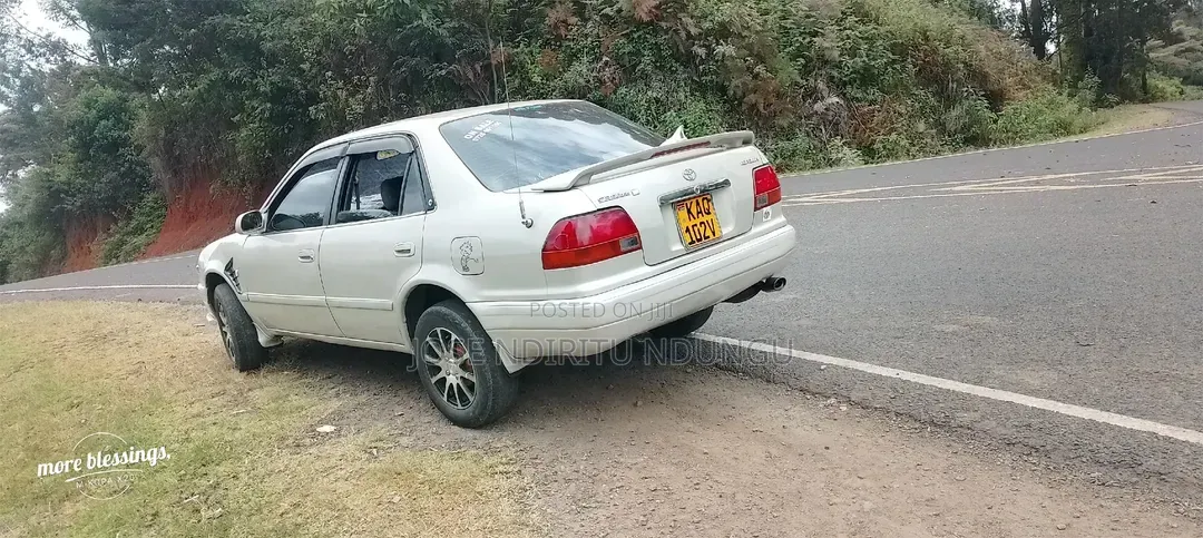 Toyota Corolla 2003 Gray
