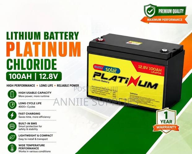 100ah Lithium Ion Battery Platinum