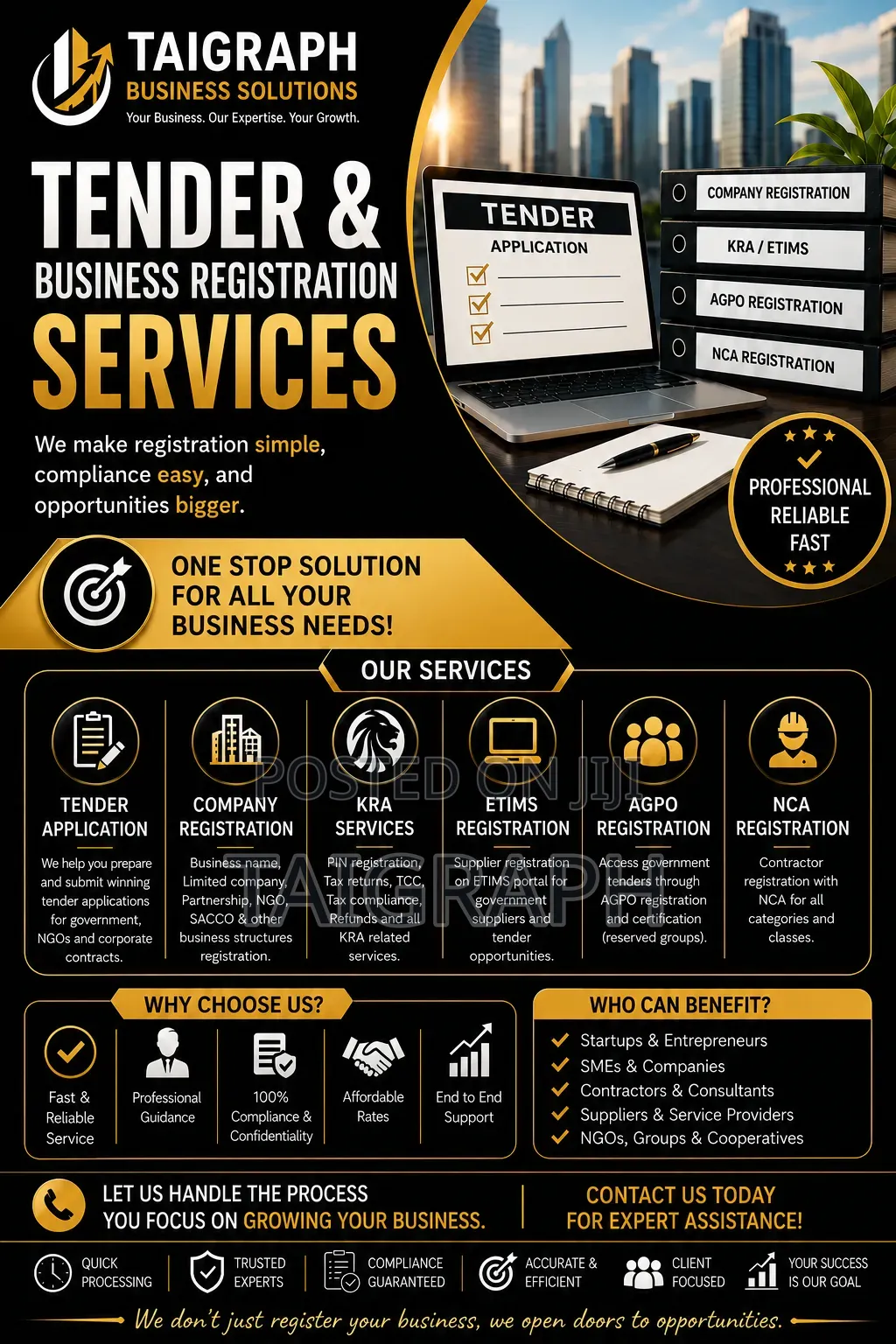 Professi of Graphic Design Accounting Report and Company Registration