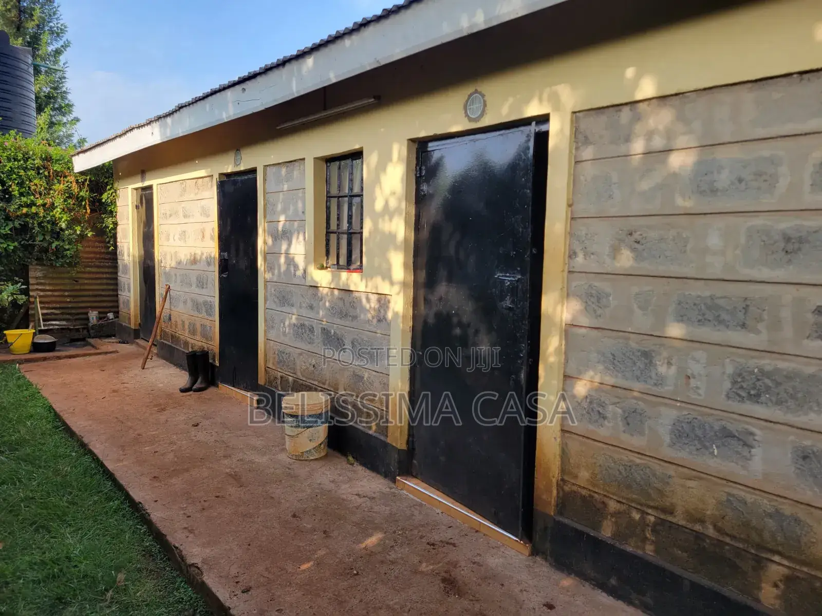 Income-Generating Hass Avocado Commercial Farm for Sale