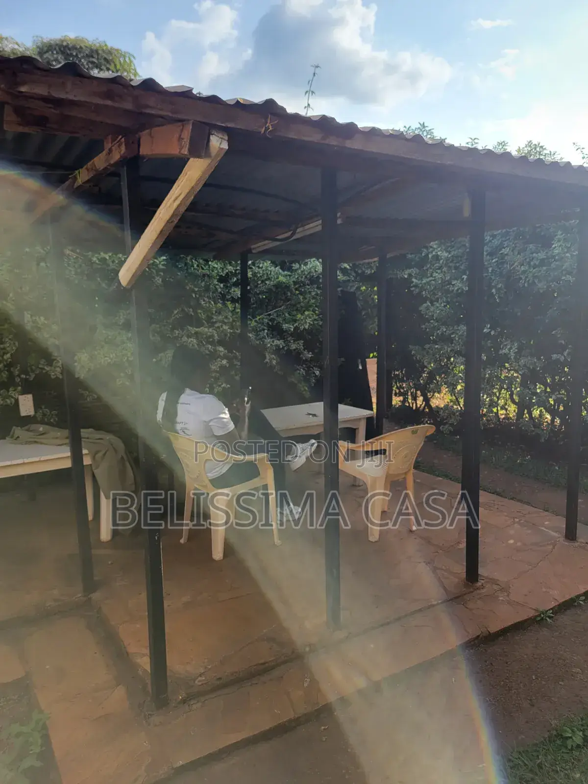 Income-Generating Hass Avocado Commercial Farm for Sale