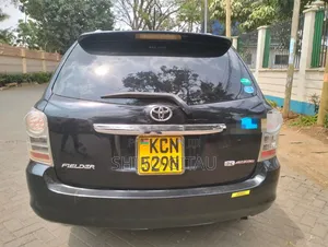 Toyota Corolla Fielder 2010 Black