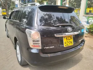 Toyota Corolla Fielder 2010 Black