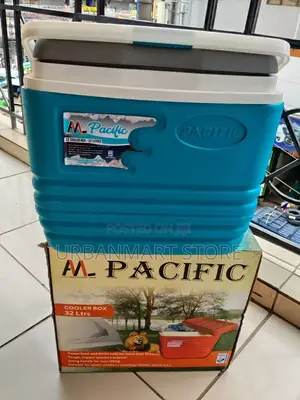 Portable 32L Beverage Ice Cream Cooler Box