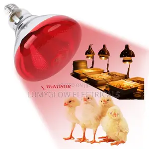 Infrared Bulb