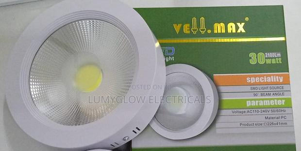 30watts COB Downlighter