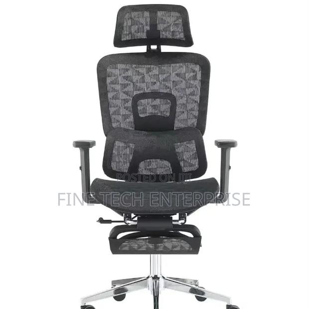 Executive Ergonomic Chair With Headrest Footrest - thumbnail 2