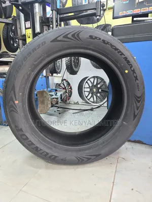 235/55r20 Dunlop Tire