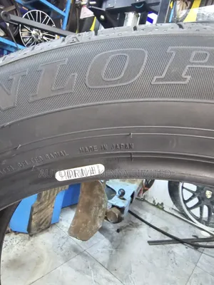 235/55r20 Dunlop Tire