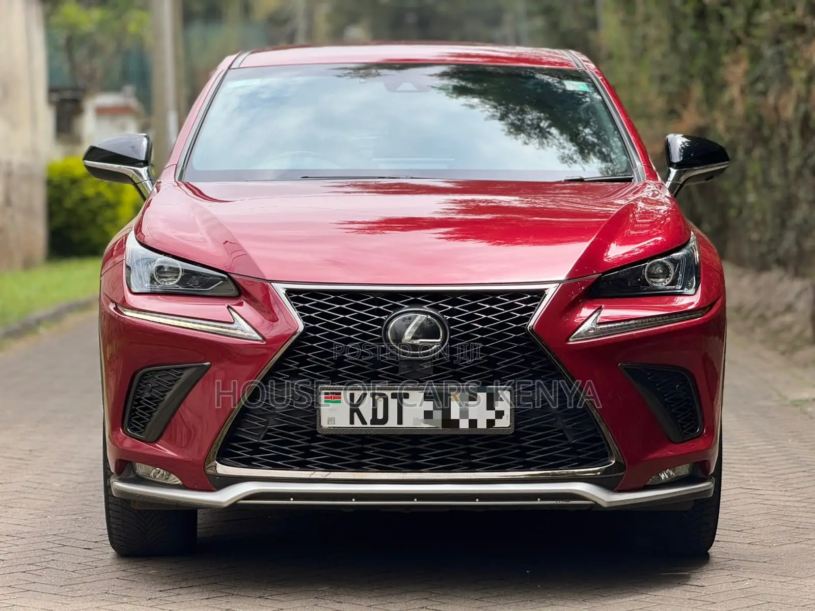Lexus NX 300 FWD 2019 Red