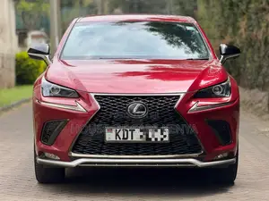 Lexus NX 300 FWD 2019 Red