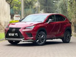 Lexus NX 300 FWD 2019 Red