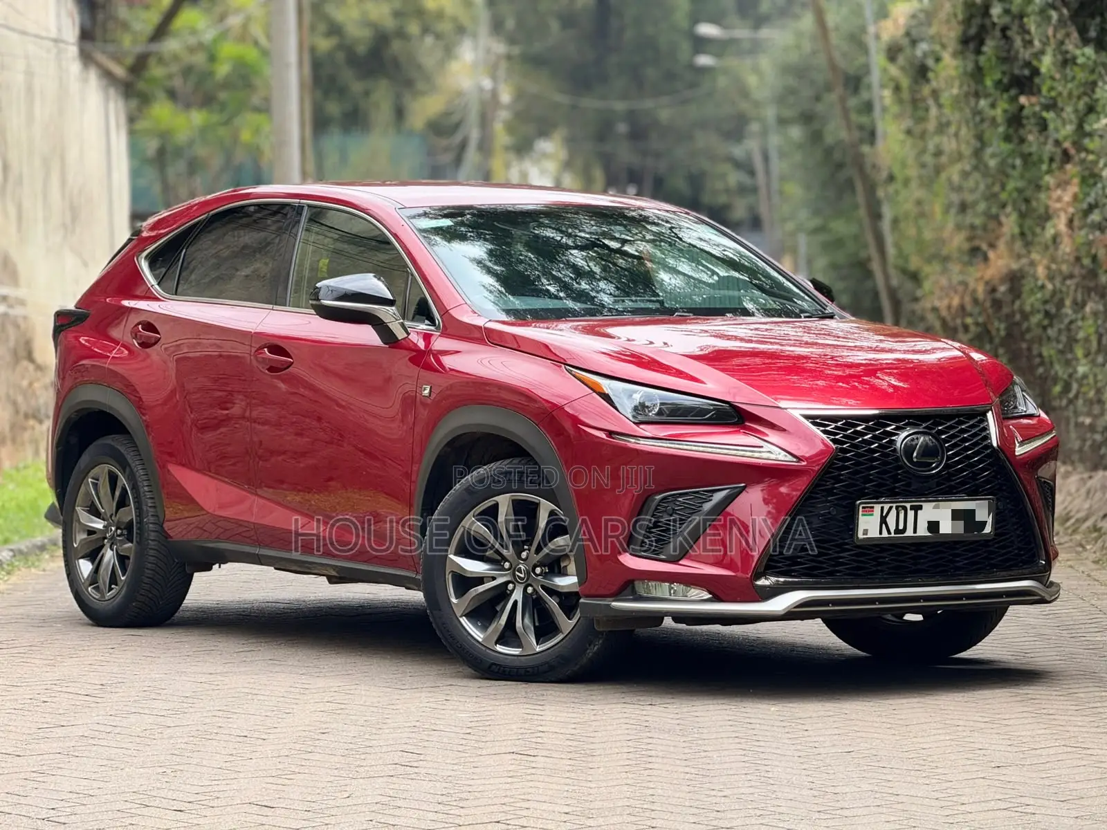 Lexus NX 300 FWD 2019 Red