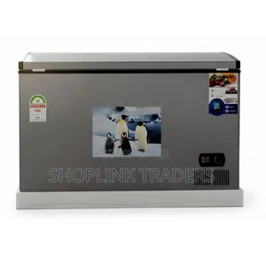 Chest Freezer Premier 300 Liters