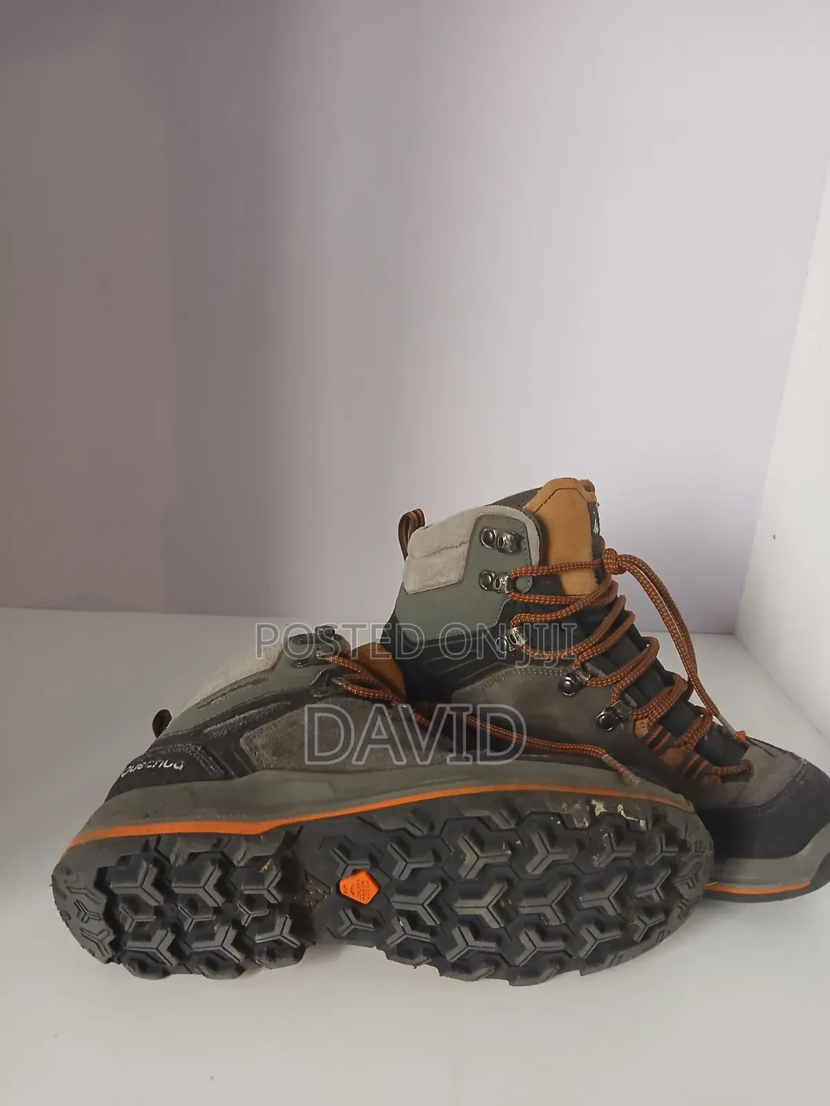 Quechua Hiking Boots
