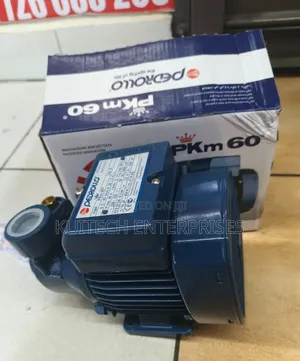 0.5hp Pedrollo Water Pump/ Electric Pedrollo Pump
