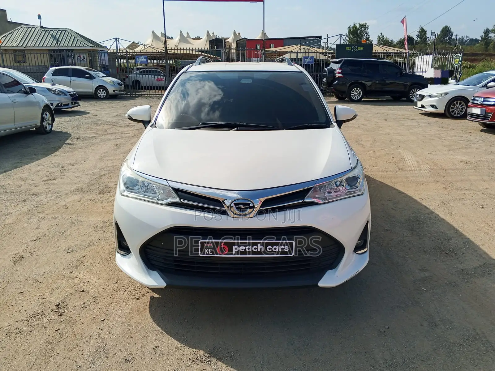 Toyota Corolla Fielder 2019 White