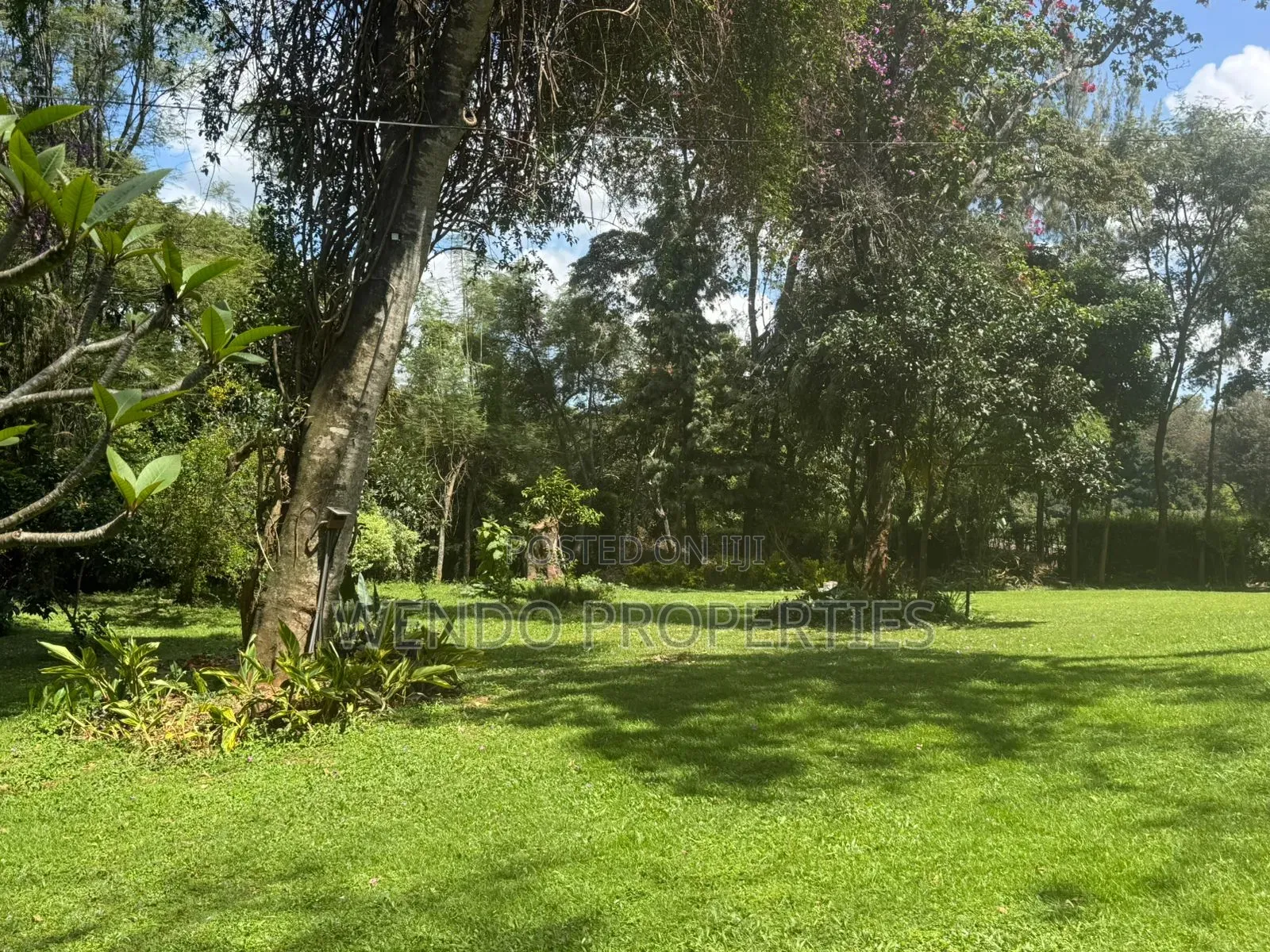 5bdrm Villa in Karen C for rent