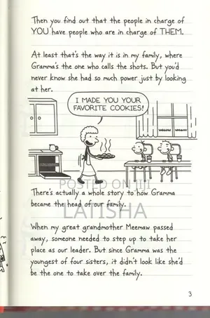 Diary of a Wimpy Kid , Hot Mess