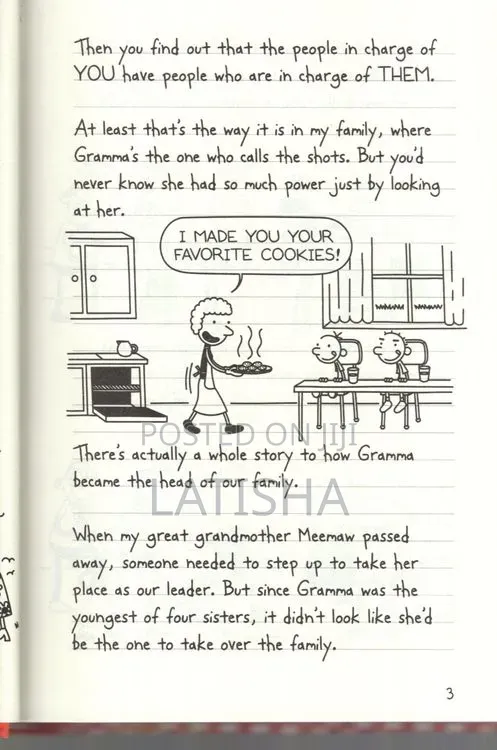 Diary of a Wimpy Kid , Hot Mess