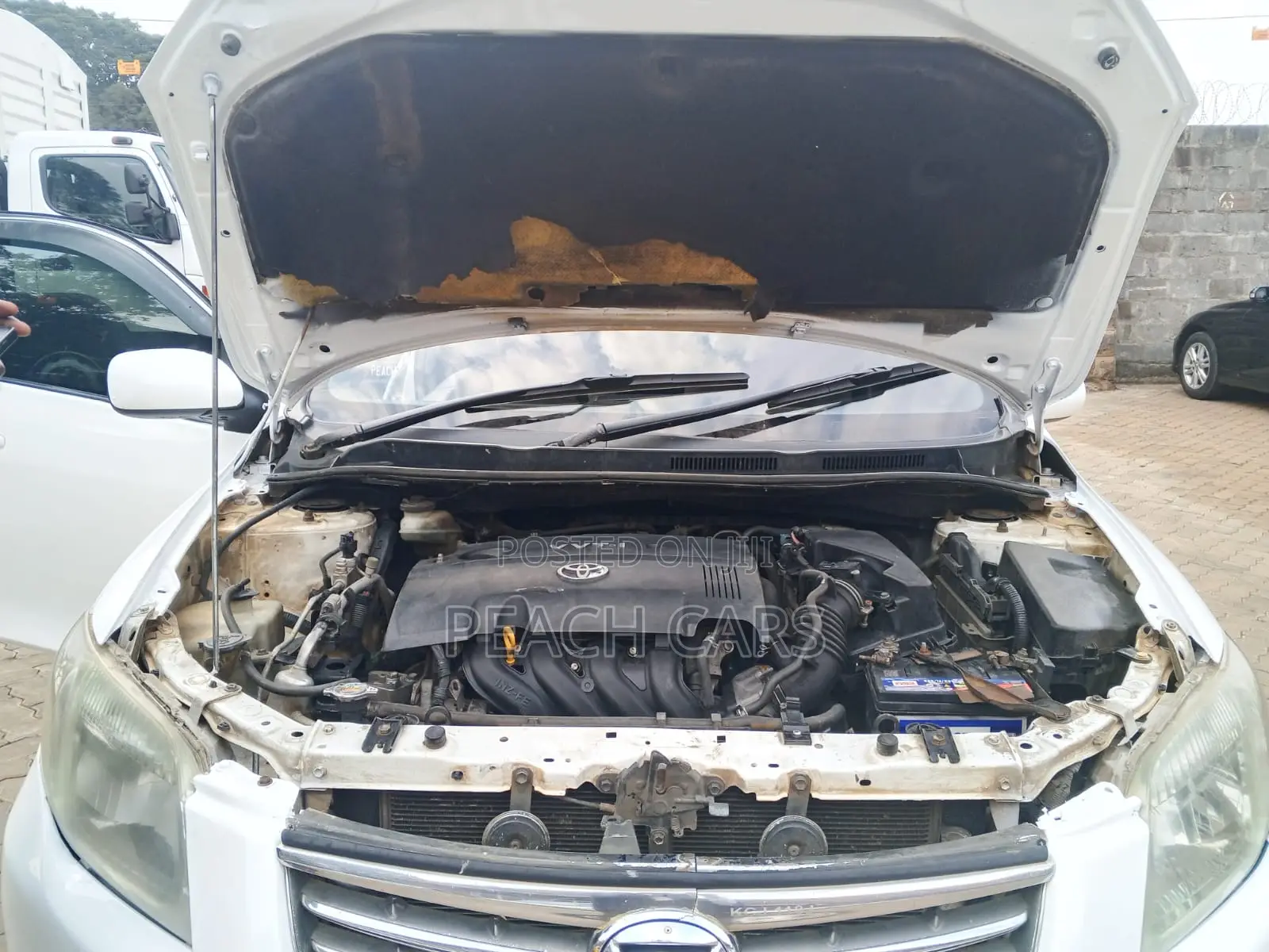 Toyota Axio 2009 White