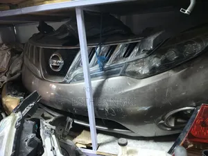 Ex Japan Nissan Morano Nosecut