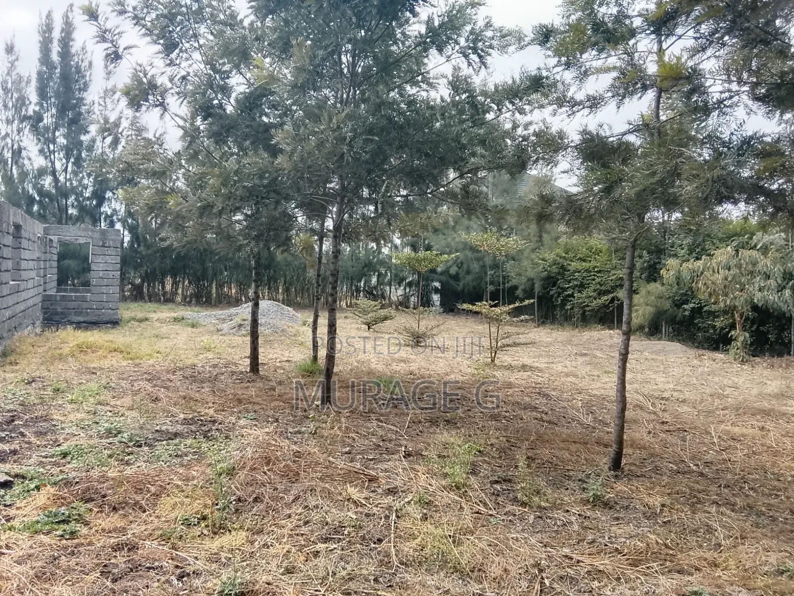 4bdrm Bungalow in Manyatta, Ruai for sale