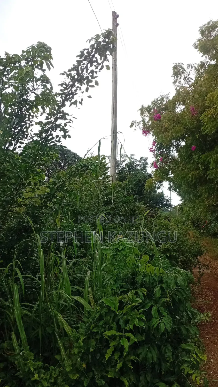 2nd Row 1/2 Acre Plot at Galu Beach Near the Beach.