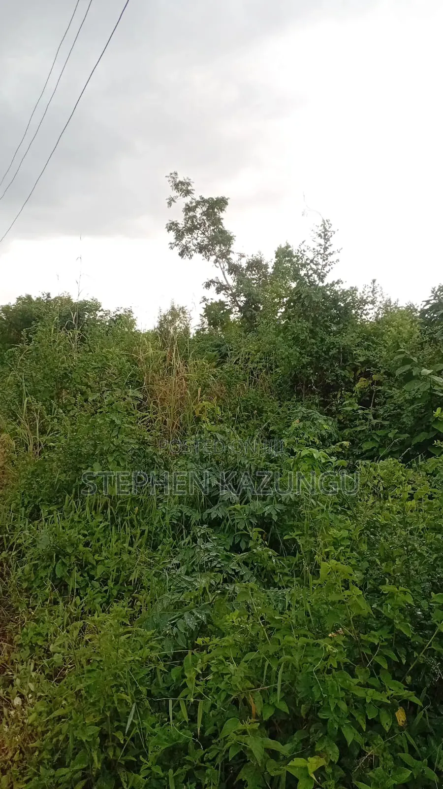 2nd Row 1/2 Acre Plot at Galu Beach Near the Beach.