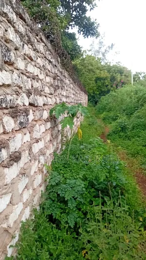 2nd Row 1/2 Acre Plot at Galu Beach Near the Beach.