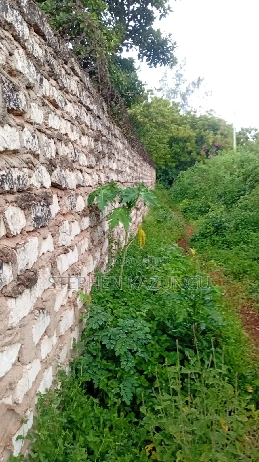 2nd Row 1/2 Acre Plot at Galu Beach Near the Beach.