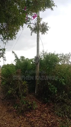 2nd Row 1/2 Acre Plot at Galu Beach Near the Beach.