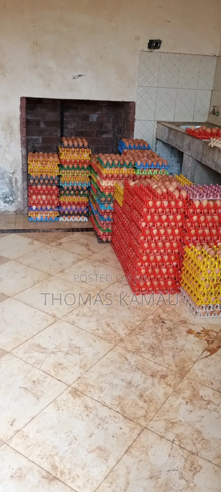 Chicken Eggs for Sale