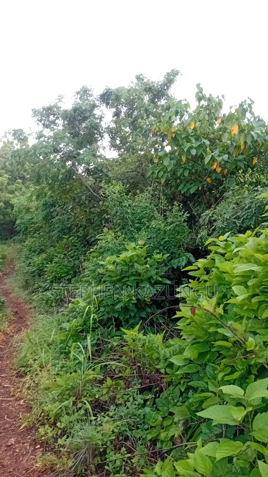 2nd Row's End 1/4 Acre Plot Size in Galu Beach