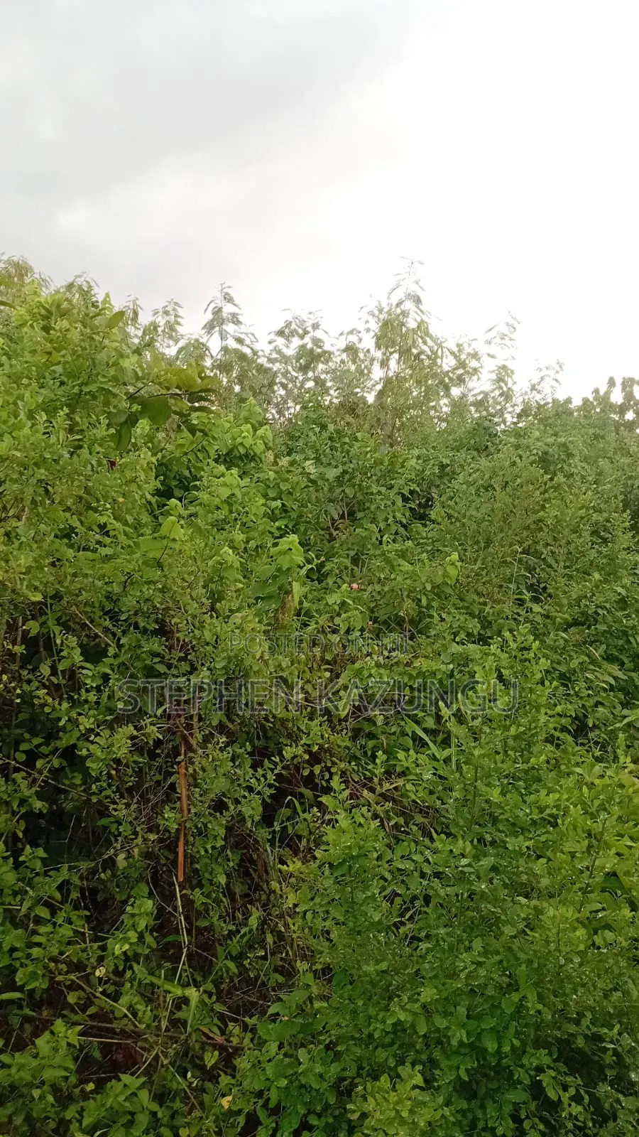 2nd Row's End 1/4 Acre Plot Size in Galu Beach