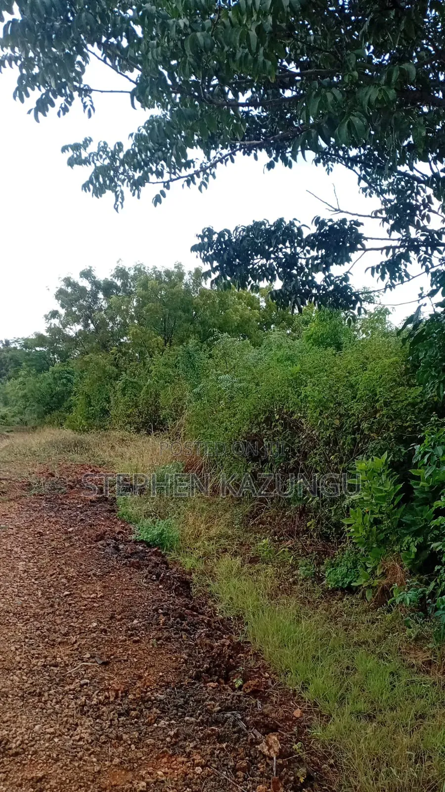 2nd Row's End 1/4 Acre Plot Size in Galu Beach