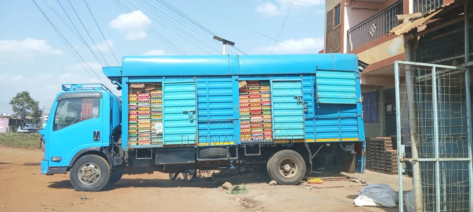 Chicken Eggs for Sale