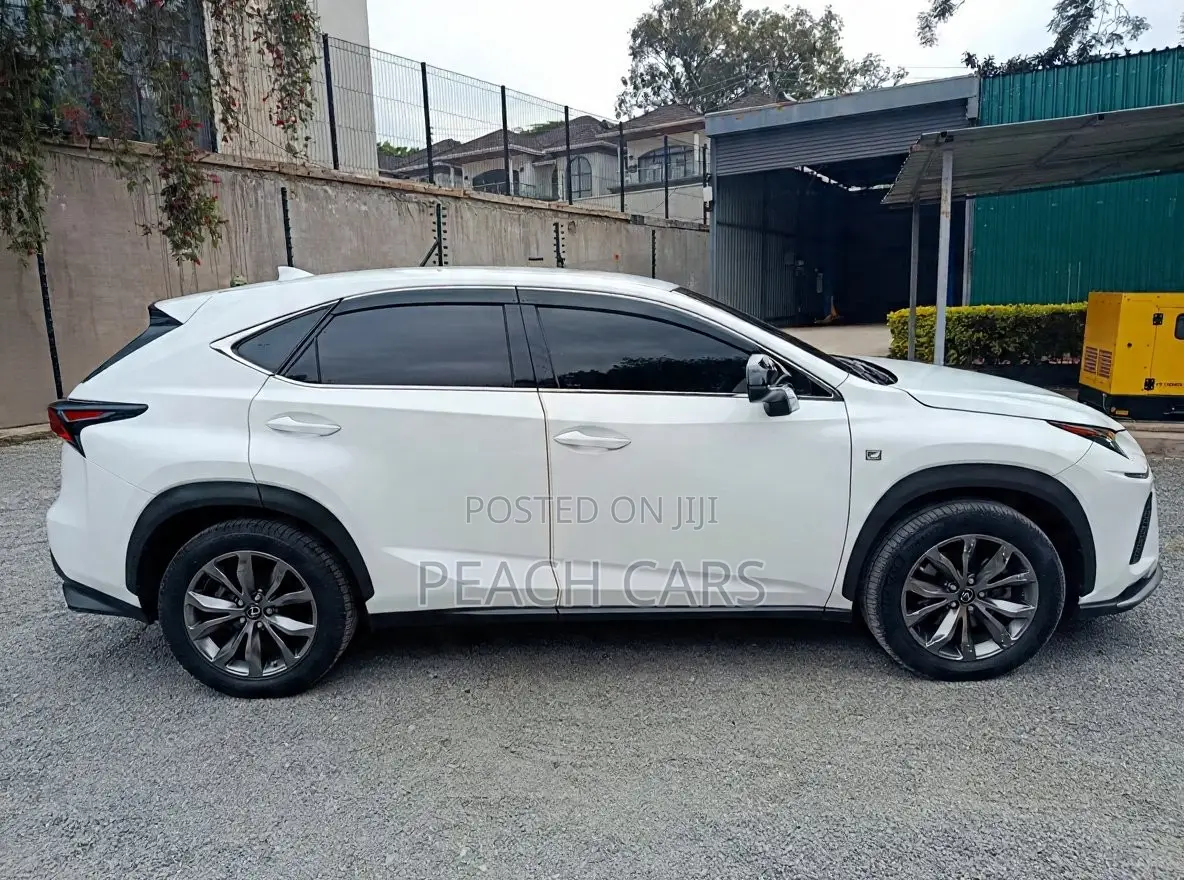Lexus NX 2018 White