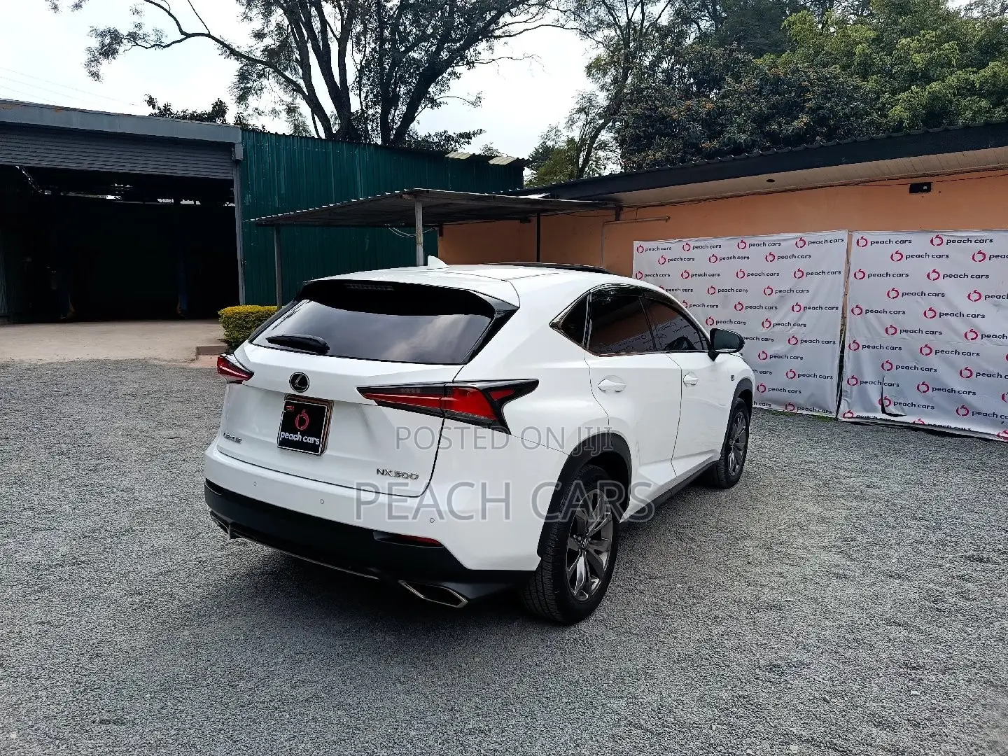 Lexus NX 2018 White