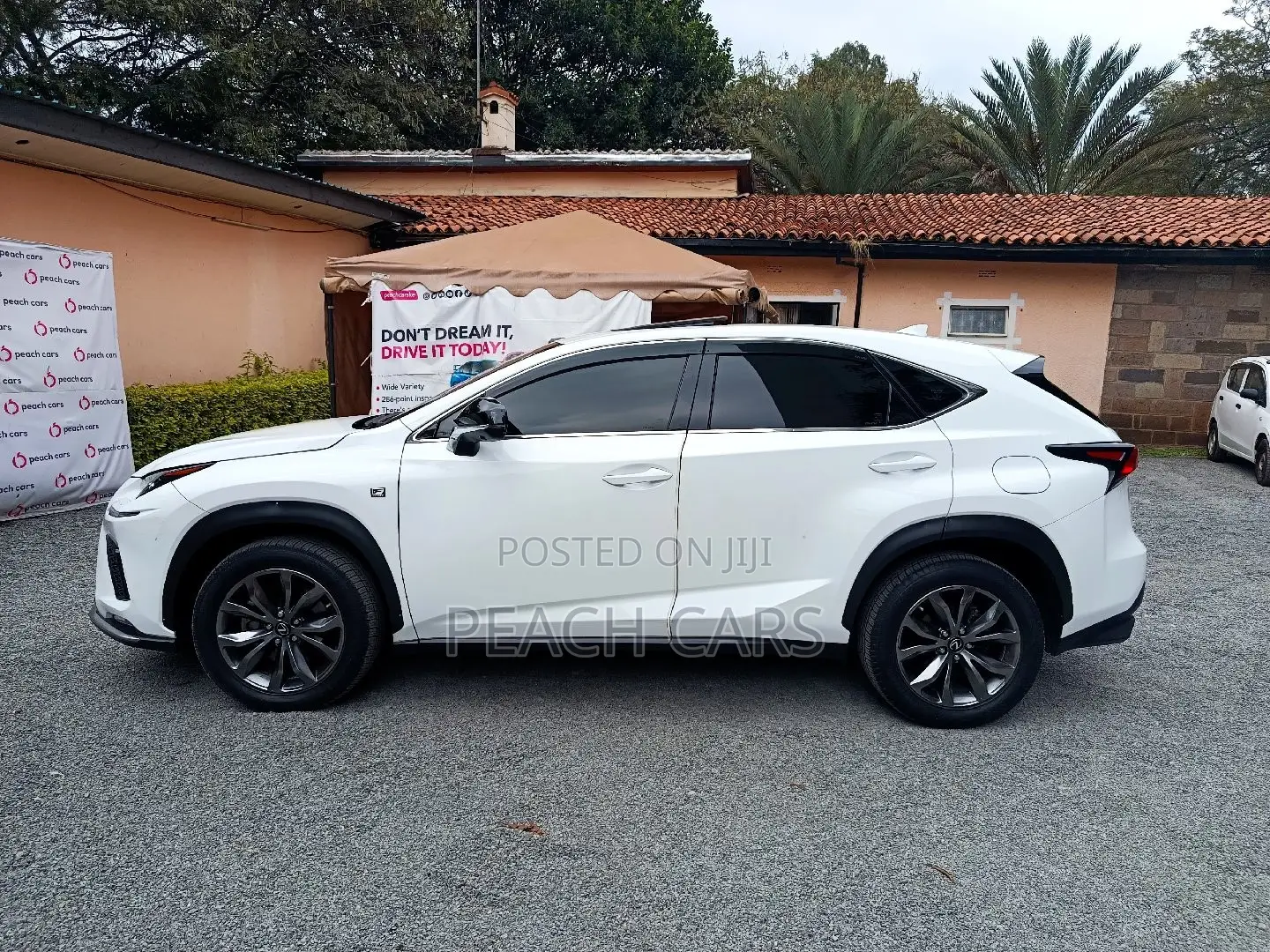 Lexus NX 2018 White