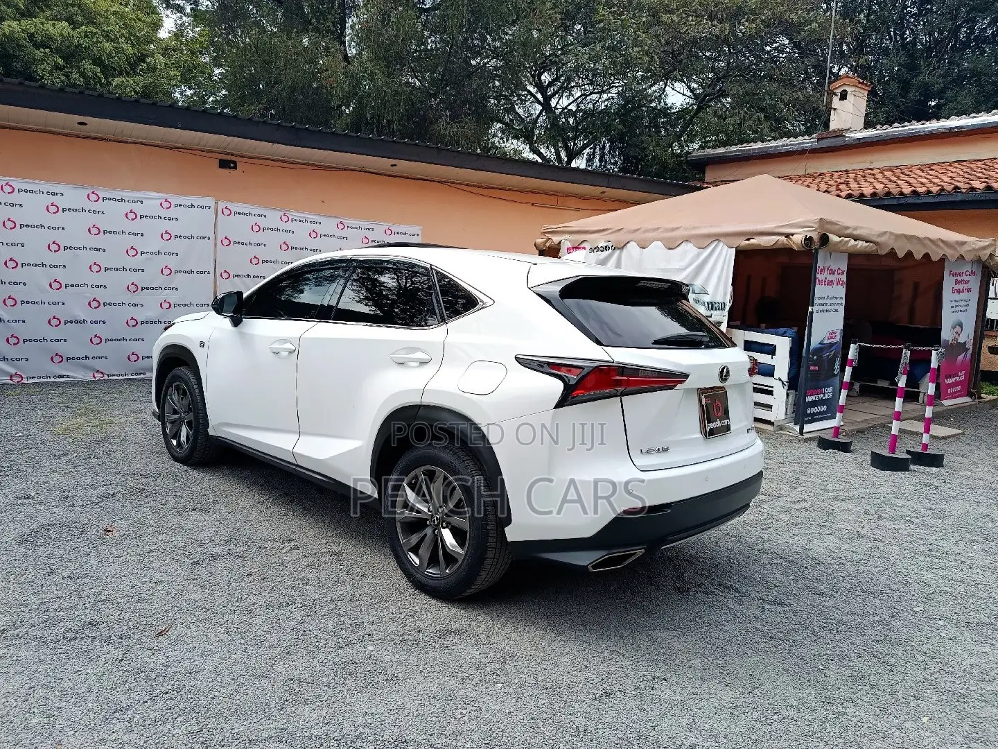 Lexus NX 2018 White