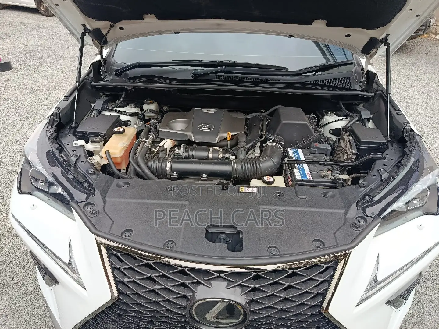 Lexus NX 2018 White