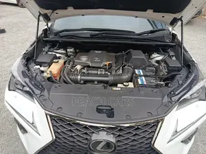 Lexus NX 2018 White