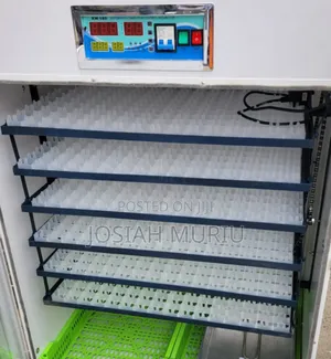 Heavy Duty 1056 Egg Hatching Machine